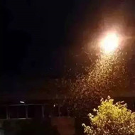 白蟻危害大，4-6月份進(jìn)入其活躍期 防治白蟻不容忽視！